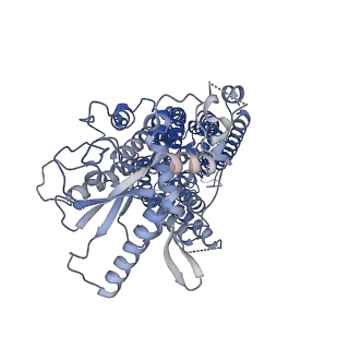 41136_8tai_B_v1-0
TMEM16F, with Calcium and PIP2, no inhibitor, Cl2