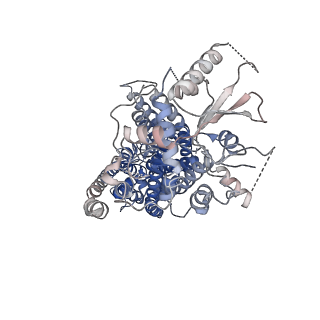 41137_8tal_A_v1-0
TMEM16F, with Calcium and PIP2, no inhibitor, Cl1