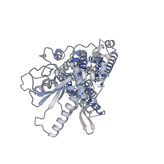 41137_8tal_B_v1-0
TMEM16F, with Calcium and PIP2, no inhibitor, Cl1
