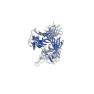 41143_8taz_B_v1-0
Cryo-EM structure of mink variant Y453F trimeric spike protein bound to one mink ACE2 receptors