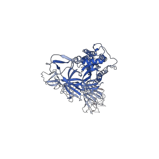 41143_8taz_C_v1-0
Cryo-EM structure of mink variant Y453F trimeric spike protein bound to one mink ACE2 receptors