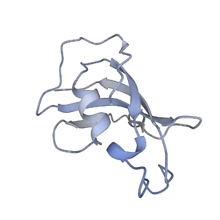 8377_5ta3_A_v1-2
Structure of rabbit RyR1 (Caffeine/ATP/Ca2+ dataset, class 2)