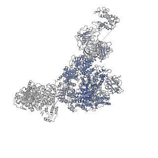 8377_5ta3_B_v1-2
Structure of rabbit RyR1 (Caffeine/ATP/Ca2+ dataset, class 2)