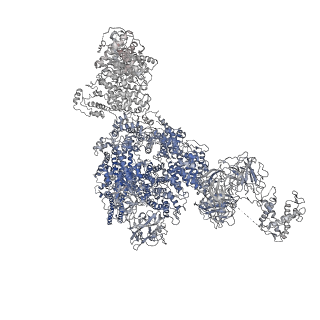 8377_5ta3_E_v1-2
Structure of rabbit RyR1 (Caffeine/ATP/Ca2+ dataset, class 2)