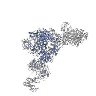8377_5ta3_G_v1-2
Structure of rabbit RyR1 (Caffeine/ATP/Ca2+ dataset, class 2)