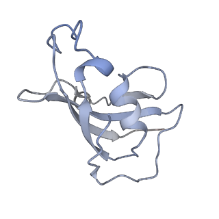8377_5ta3_H_v1-2
Structure of rabbit RyR1 (Caffeine/ATP/Ca2+ dataset, class 2)