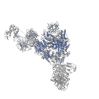 8377_5ta3_I_v1-2
Structure of rabbit RyR1 (Caffeine/ATP/Ca2+ dataset, class 2)