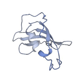 8378_5tal_A_v1-3
Structure of rabbit RyR1 (Caffeine/ATP/Ca2+ dataset, class 1&2)