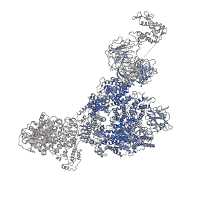 8378_5tal_B_v1-2
Structure of rabbit RyR1 (Caffeine/ATP/Ca2+ dataset, class 1&2)