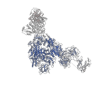 8378_5tal_E_v1-2
Structure of rabbit RyR1 (Caffeine/ATP/Ca2+ dataset, class 1&2)
