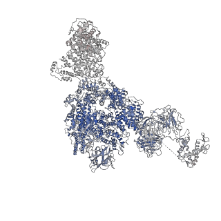 8378_5tal_E_v1-3
Structure of rabbit RyR1 (Caffeine/ATP/Ca2+ dataset, class 1&2)