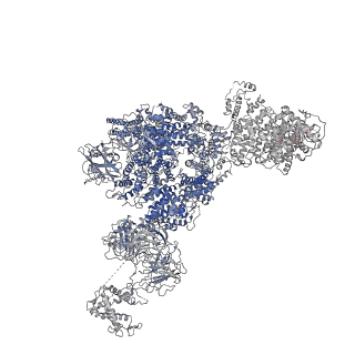 8378_5tal_G_v1-2
Structure of rabbit RyR1 (Caffeine/ATP/Ca2+ dataset, class 1&2)