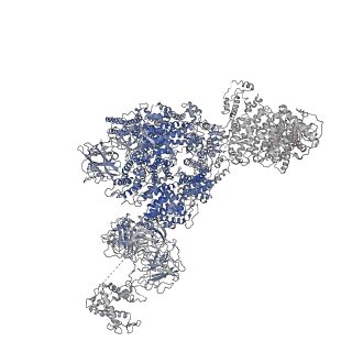 8378_5tal_G_v1-3
Structure of rabbit RyR1 (Caffeine/ATP/Ca2+ dataset, class 1&2)