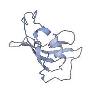 8378_5tal_H_v1-2
Structure of rabbit RyR1 (Caffeine/ATP/Ca2+ dataset, class 1&2)