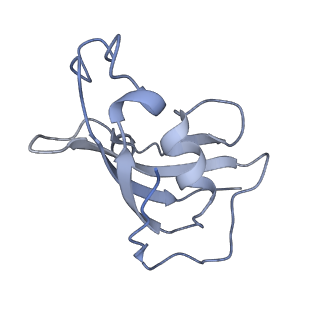 8378_5tal_H_v1-3
Structure of rabbit RyR1 (Caffeine/ATP/Ca2+ dataset, class 1&2)