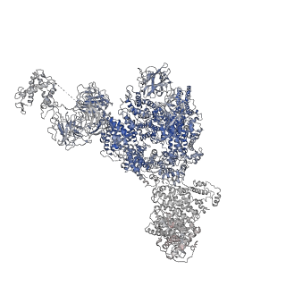 8378_5tal_I_v1-2
Structure of rabbit RyR1 (Caffeine/ATP/Ca2+ dataset, class 1&2)