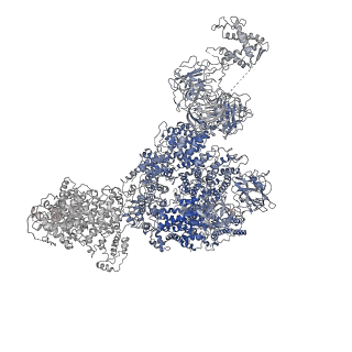 8379_5tam_B_v1-2
Structure of rabbit RyR1 (Caffeine/ATP/Ca2+ dataset, class 4)