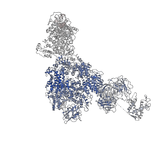 8379_5tam_E_v1-2
Structure of rabbit RyR1 (Caffeine/ATP/Ca2+ dataset, class 4)