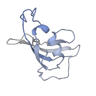 8379_5tam_H_v1-2
Structure of rabbit RyR1 (Caffeine/ATP/Ca2+ dataset, class 4)