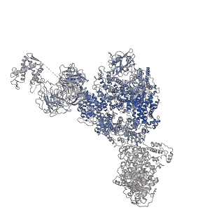 8379_5tam_I_v1-2
Structure of rabbit RyR1 (Caffeine/ATP/Ca2+ dataset, class 4)