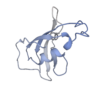 8379_5tam_J_v1-2
Structure of rabbit RyR1 (Caffeine/ATP/Ca2+ dataset, class 4)