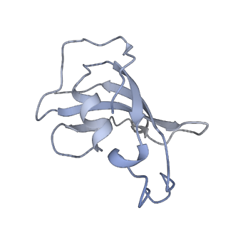 8380_5tan_A_v1-2
Structure of rabbit RyR1 (Caffeine/ATP/Ca2+ dataset, class 3)