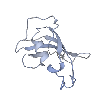 8380_5tan_A_v1-3
Structure of rabbit RyR1 (Caffeine/ATP/Ca2+ dataset, class 3)