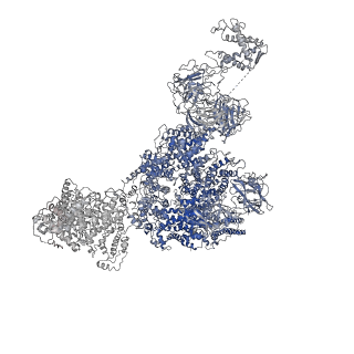 8380_5tan_B_v1-2
Structure of rabbit RyR1 (Caffeine/ATP/Ca2+ dataset, class 3)