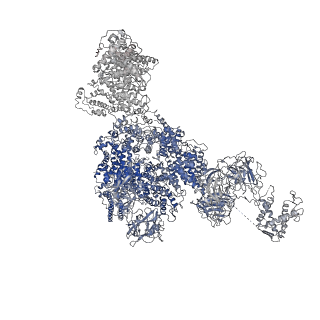 8380_5tan_E_v1-2
Structure of rabbit RyR1 (Caffeine/ATP/Ca2+ dataset, class 3)