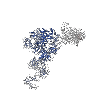 8380_5tan_G_v1-2
Structure of rabbit RyR1 (Caffeine/ATP/Ca2+ dataset, class 3)