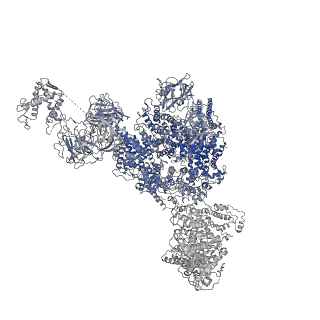 8380_5tan_I_v1-2
Structure of rabbit RyR1 (Caffeine/ATP/Ca2+ dataset, class 3)