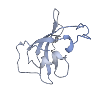 8380_5tan_J_v1-2
Structure of rabbit RyR1 (Caffeine/ATP/Ca2+ dataset, class 3)