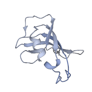 8381_5tap_A_v1-2
Structure of rabbit RyR1 (Caffeine/ATP/EGTA dataset, all particles)