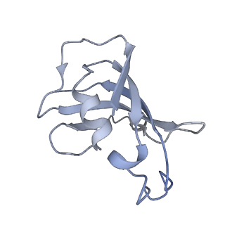 8381_5tap_A_v1-3
Structure of rabbit RyR1 (Caffeine/ATP/EGTA dataset, all particles)