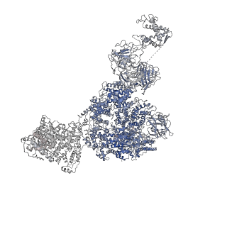 8381_5tap_B_v1-3
Structure of rabbit RyR1 (Caffeine/ATP/EGTA dataset, all particles)