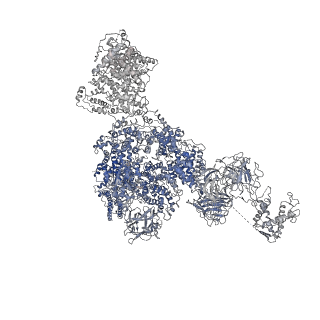 8381_5tap_E_v1-2
Structure of rabbit RyR1 (Caffeine/ATP/EGTA dataset, all particles)