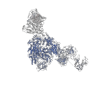 8381_5tap_E_v1-3
Structure of rabbit RyR1 (Caffeine/ATP/EGTA dataset, all particles)