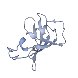 8381_5tap_F_v1-2
Structure of rabbit RyR1 (Caffeine/ATP/EGTA dataset, all particles)