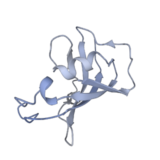 8381_5tap_F_v1-3
Structure of rabbit RyR1 (Caffeine/ATP/EGTA dataset, all particles)