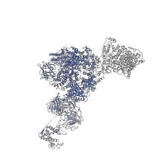 8381_5tap_G_v1-3
Structure of rabbit RyR1 (Caffeine/ATP/EGTA dataset, all particles)