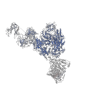 8381_5tap_I_v1-2
Structure of rabbit RyR1 (Caffeine/ATP/EGTA dataset, all particles)