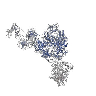 8381_5tap_I_v1-3
Structure of rabbit RyR1 (Caffeine/ATP/EGTA dataset, all particles)