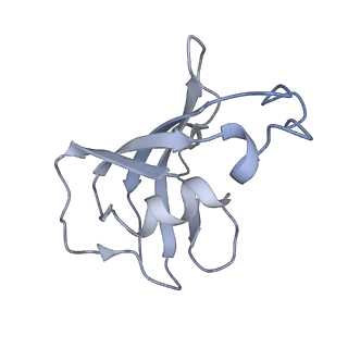 8381_5tap_J_v1-2
Structure of rabbit RyR1 (Caffeine/ATP/EGTA dataset, all particles)