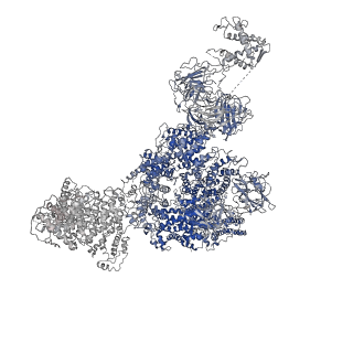 8382_5taq_B_v1-2
Structure of rabbit RyR1 (Caffeine/ATP/Ca2+ dataset, class 3&4)
