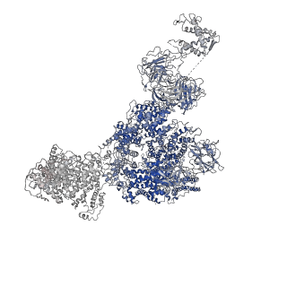 8382_5taq_B_v1-3
Structure of rabbit RyR1 (Caffeine/ATP/Ca2+ dataset, class 3&4)