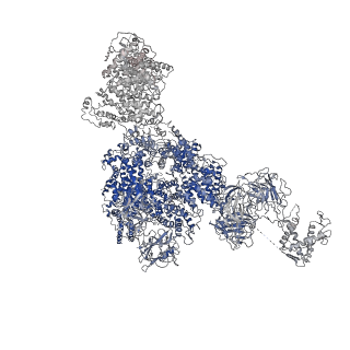8382_5taq_E_v1-2
Structure of rabbit RyR1 (Caffeine/ATP/Ca2+ dataset, class 3&4)