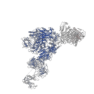 8382_5taq_G_v1-2
Structure of rabbit RyR1 (Caffeine/ATP/Ca2+ dataset, class 3&4)