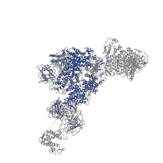 8382_5taq_G_v1-3
Structure of rabbit RyR1 (Caffeine/ATP/Ca2+ dataset, class 3&4)