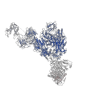 8382_5taq_I_v1-2
Structure of rabbit RyR1 (Caffeine/ATP/Ca2+ dataset, class 3&4)