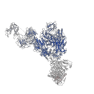 8382_5taq_I_v1-3
Structure of rabbit RyR1 (Caffeine/ATP/Ca2+ dataset, class 3&4)